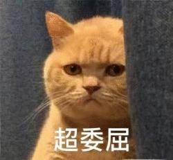 DƬ